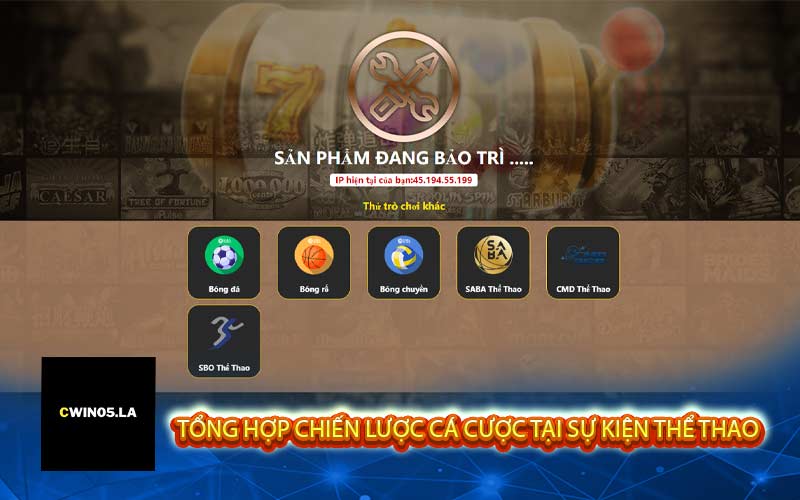 Tổng hợp chiến lược cá cược tại sự kiện thể thao